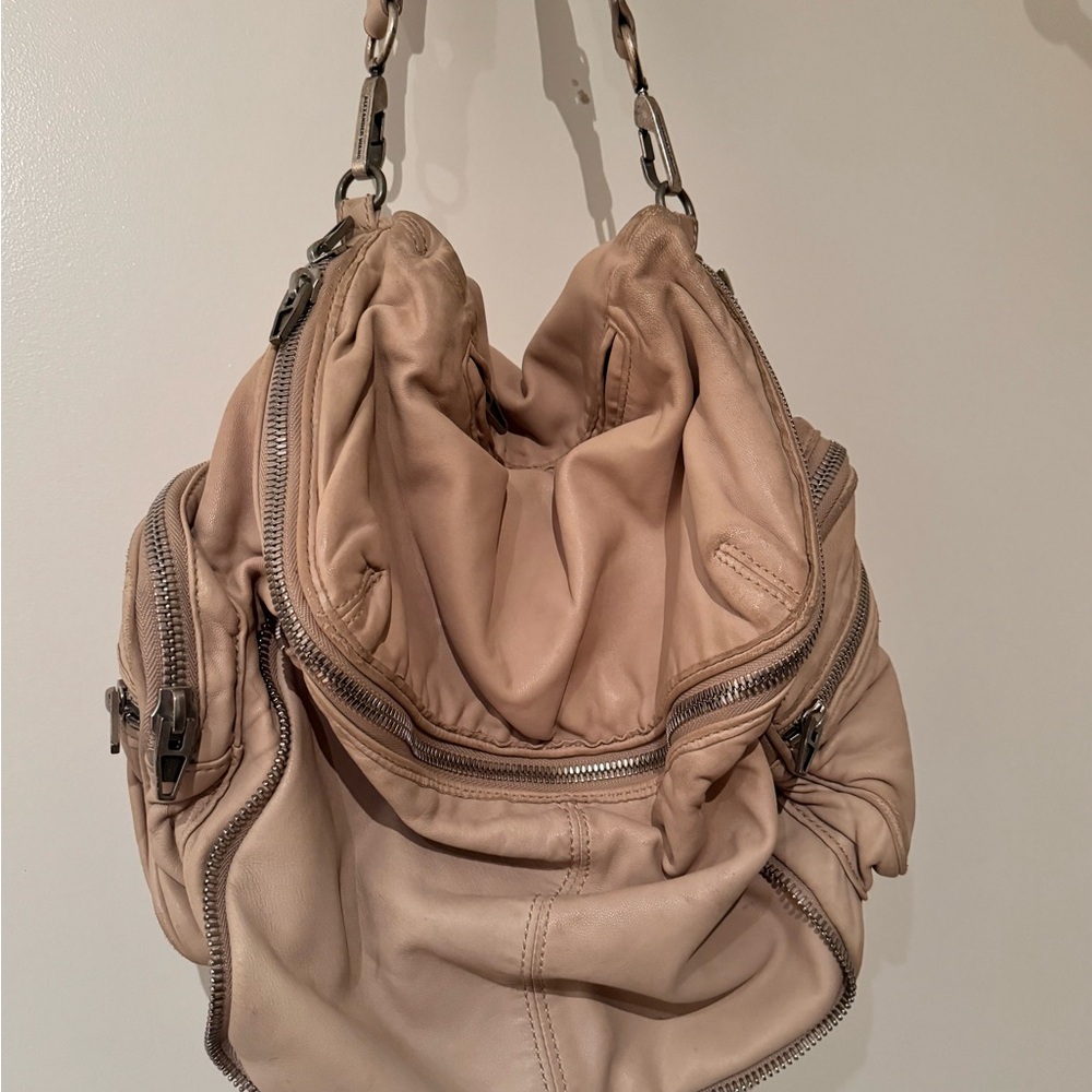 Alexander wang soft leather (Jane bag)